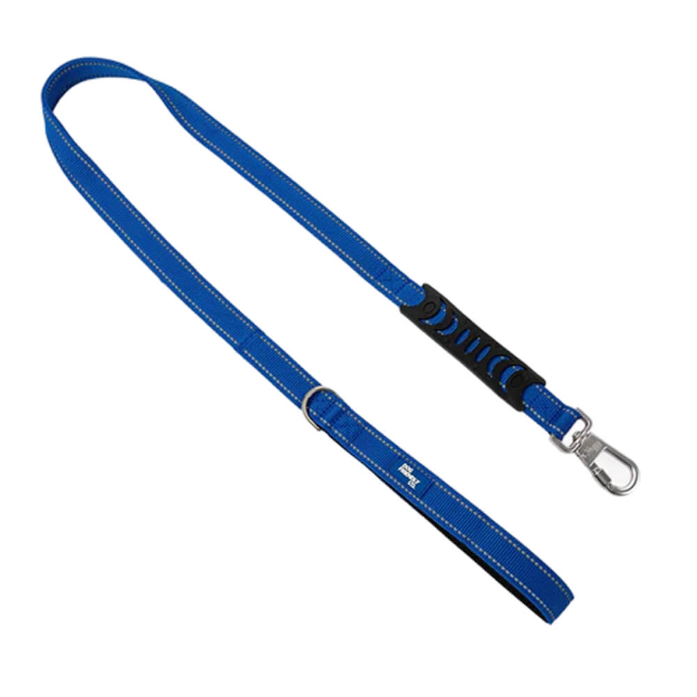 Classic Dog Leash — Classic Blue