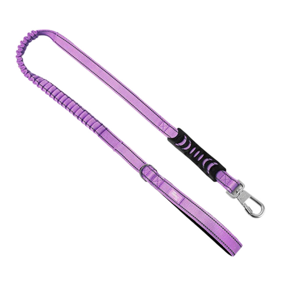 Bungee Dog Leash — Purple