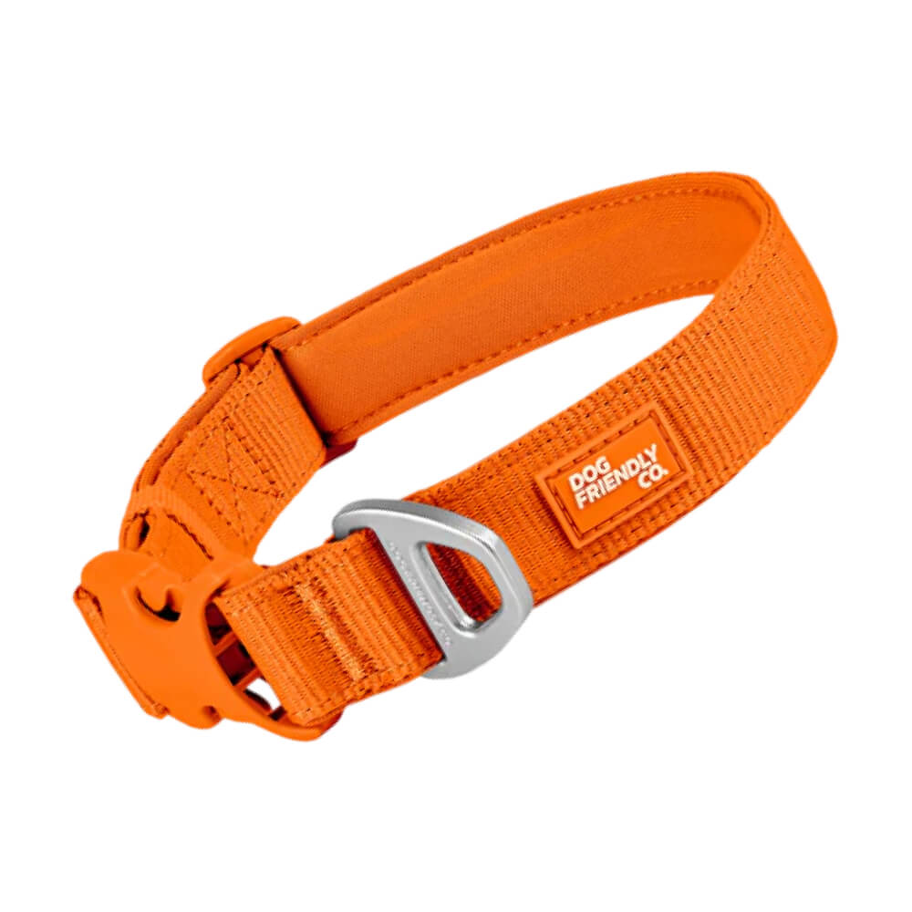 Essentials Dog Collar — Orange