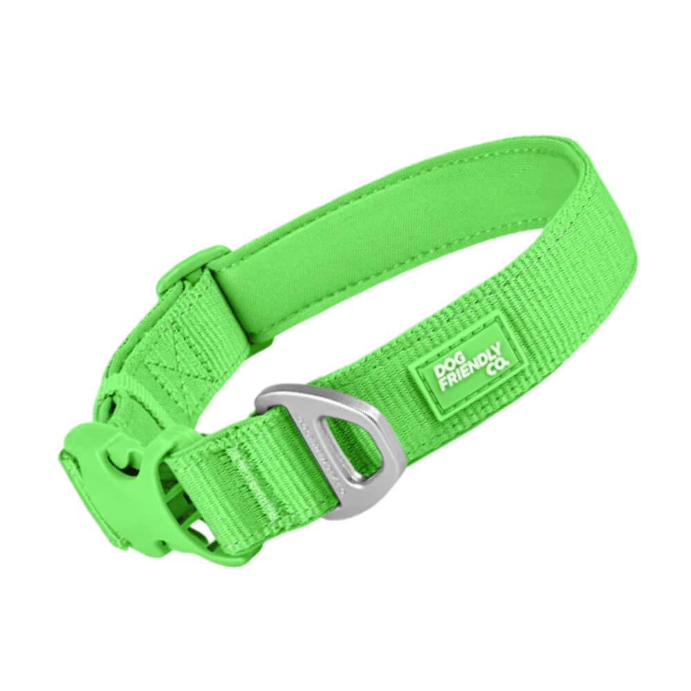 Essentials Dog Collar — Neon Green