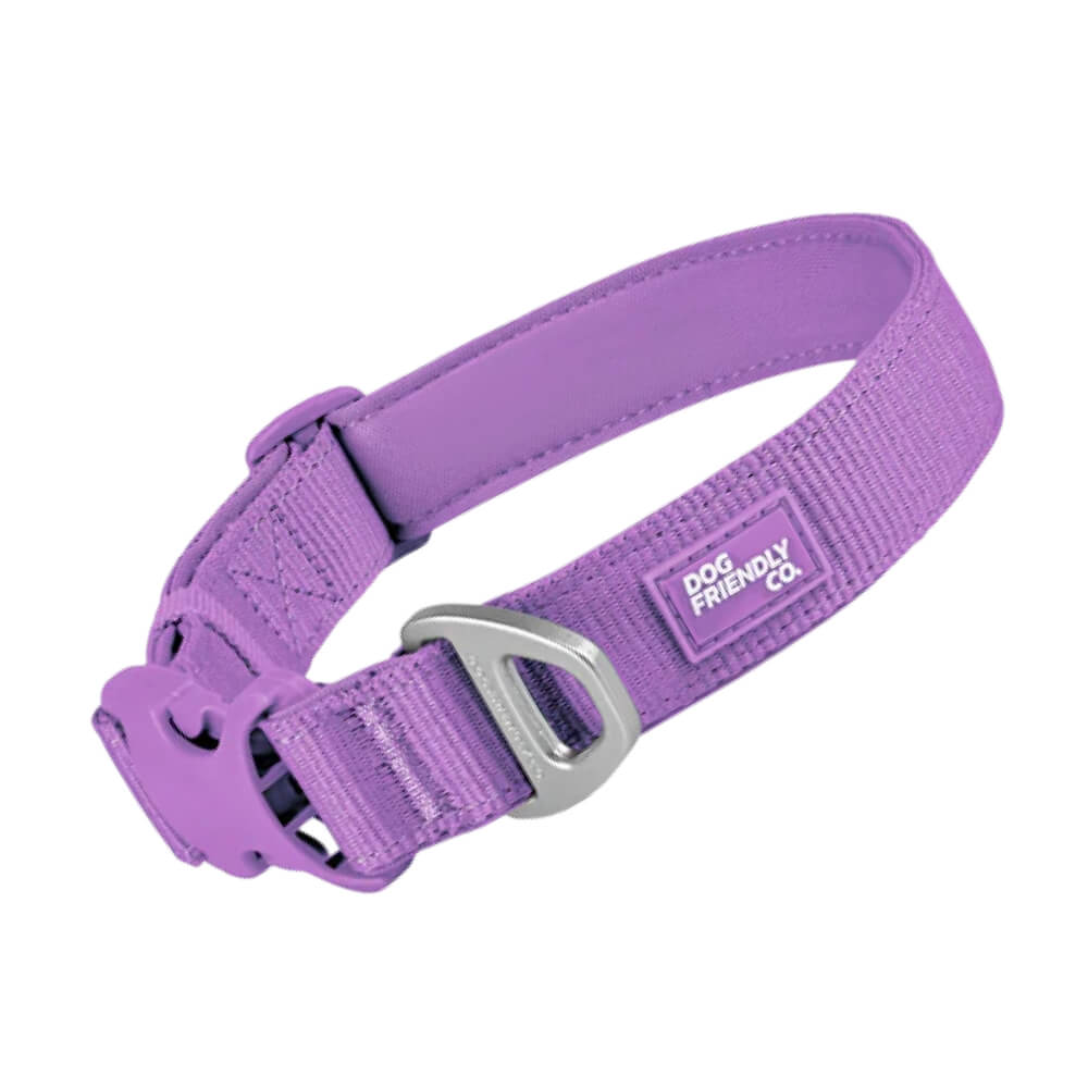 Essentials Dog Collar — Purple