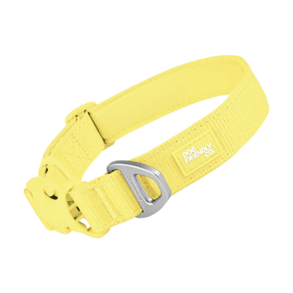 Essentials Dog Collar — Yellow