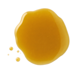 Golden-yellow drop of Marine Lipid Extract EAB-277® with a glossy, smooth texture on a clean white background