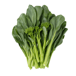 Fresh Chinese Broccoli with crisp green stems, leafy tops and small florets, perfect for healthy dog recipes