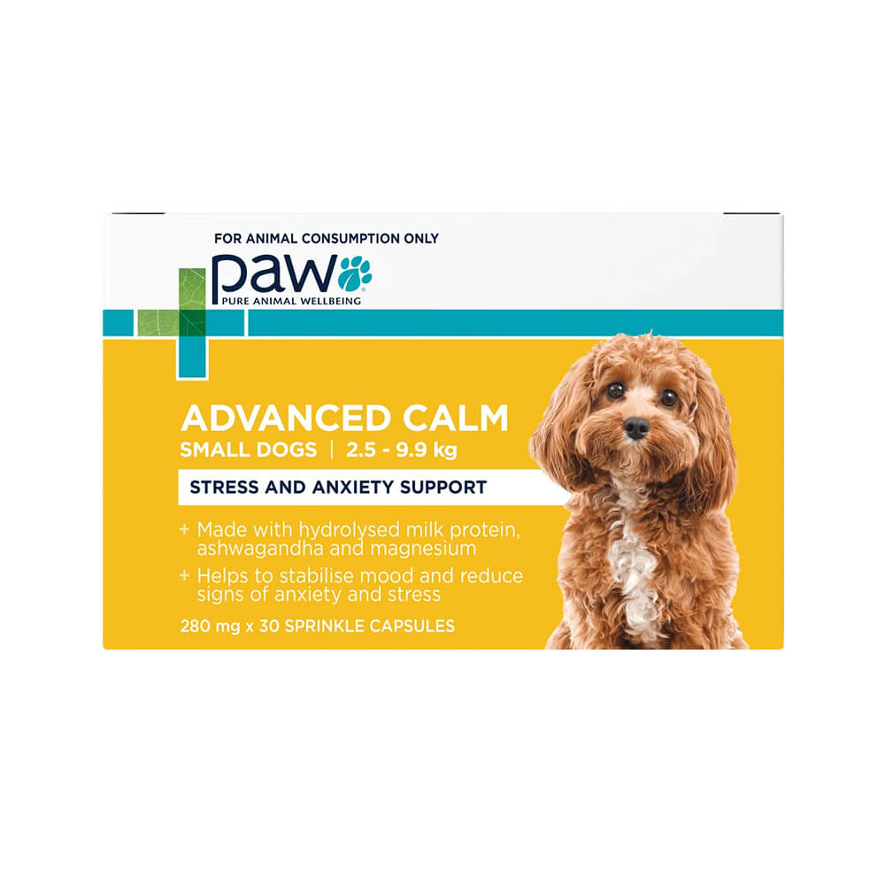 PAW Advanced Calm For Small Dogs