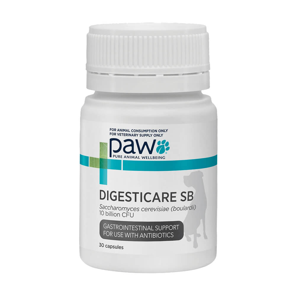 PAW DigestiCare® SB