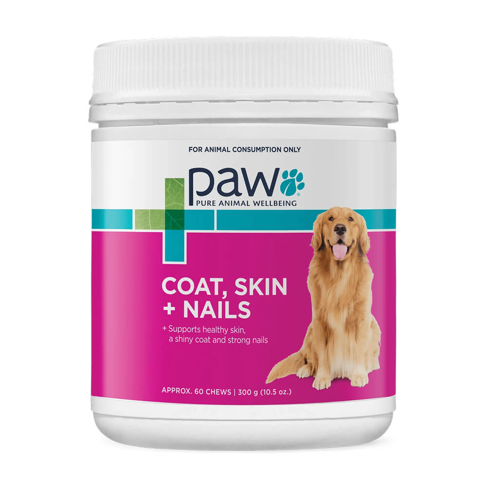 PAW Coat Skin Nails Chews