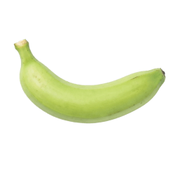 Fresh green banana with smooth, bright green skin and firm texture, perfect for healthy dog recipes on Dog Directory
