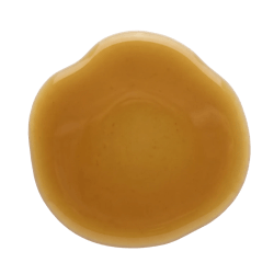 Golden-brown Lecithin Liquid with a smooth, glossy texture pooled in a round, shallow dish on a plain background