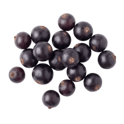 Fresh blackcurrant berries with smooth, glossy dark purple skin and round shape grouped on a white background