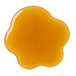Golden, glossy bush honey spread in an irregular puddle with a smooth texture and rich amber colour on a white background
