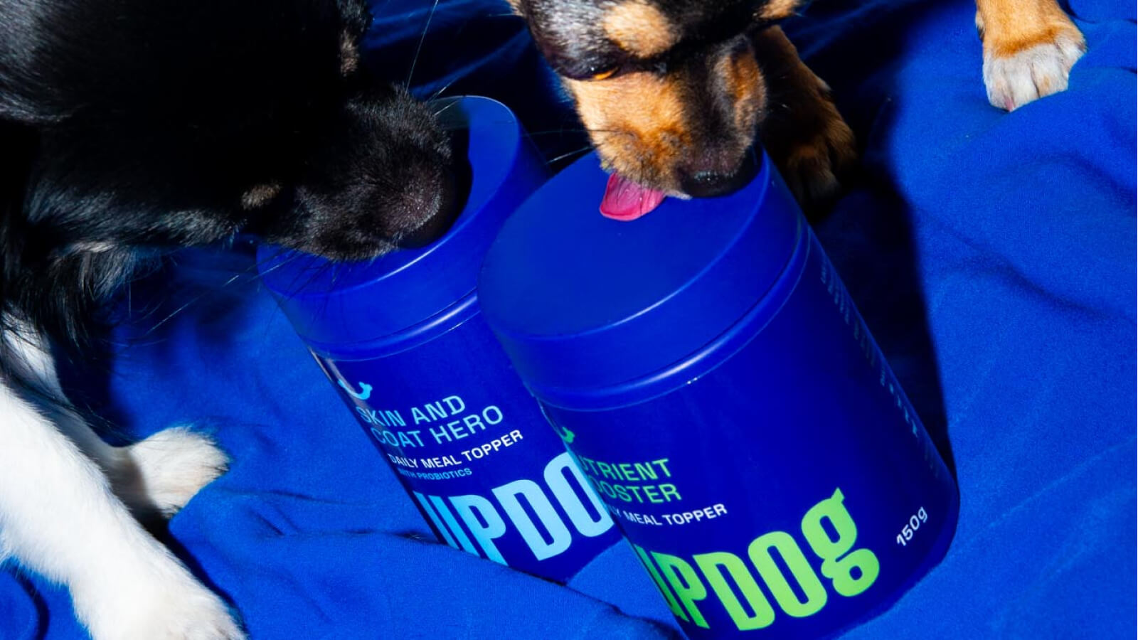 UPDOG