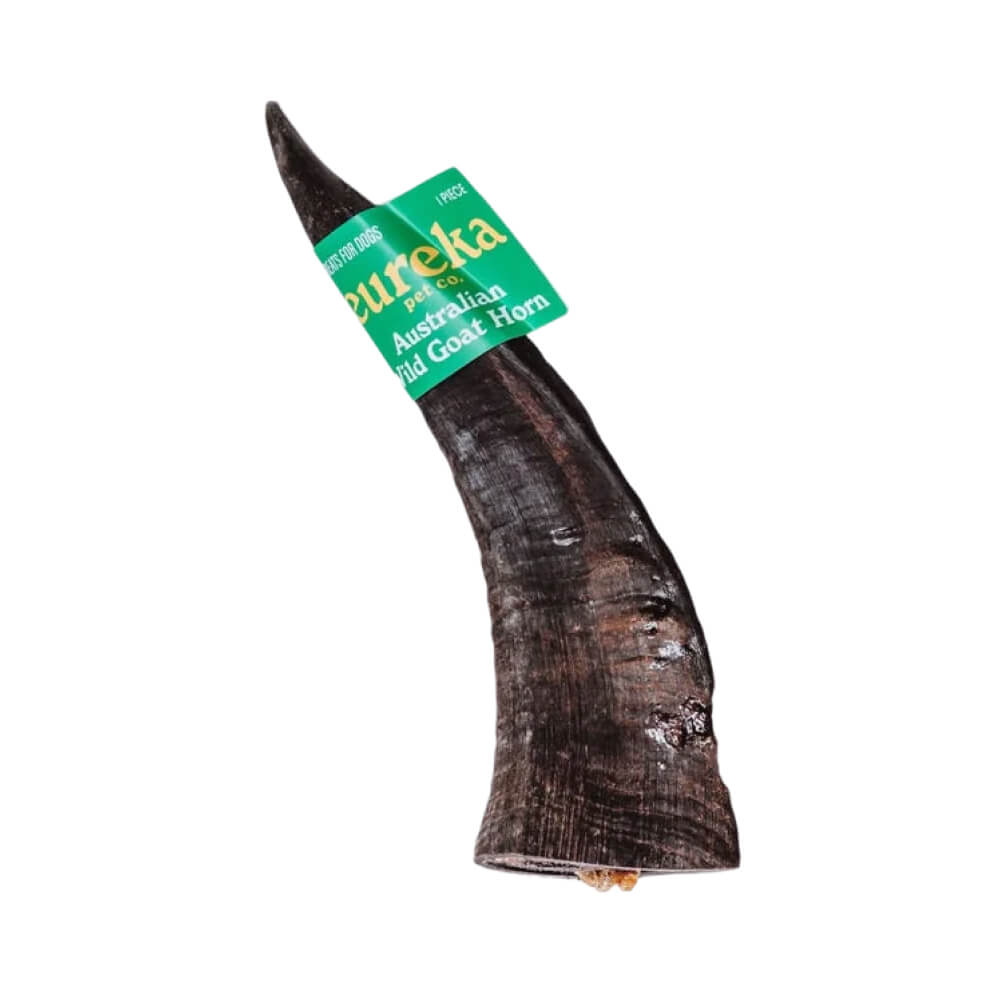 Groovy Goat Horn