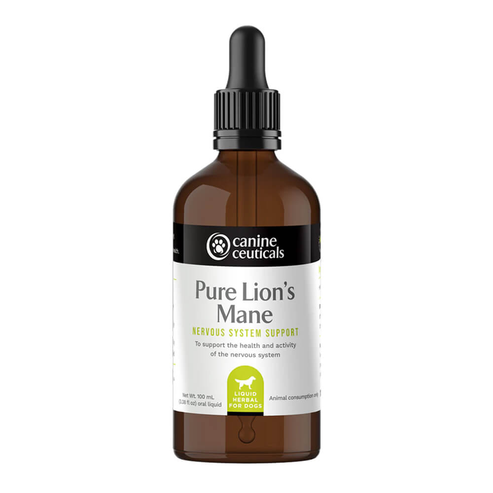 Pure Lion's Mane Nervous System Support Drops