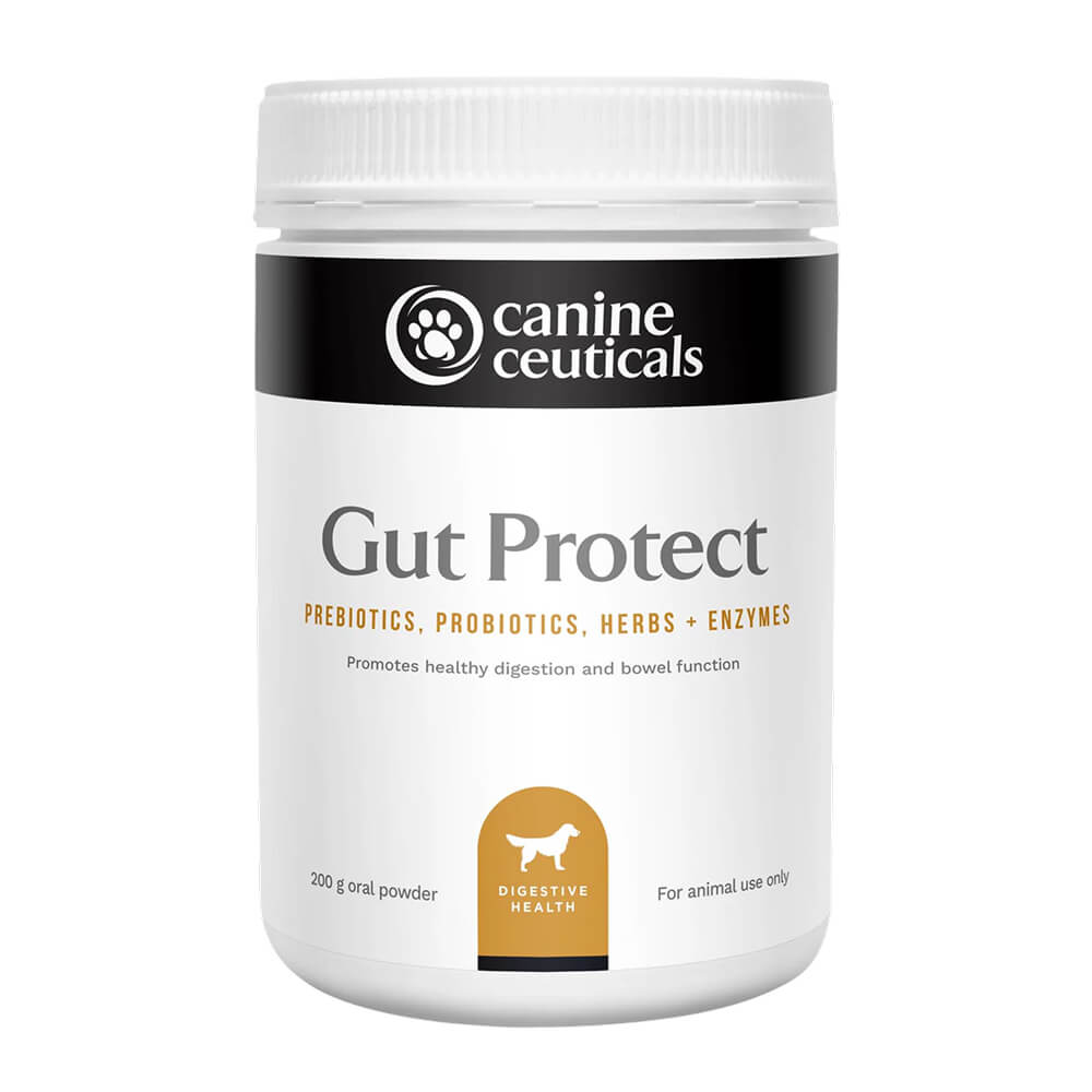 Gut Protect Digestive Health Powder