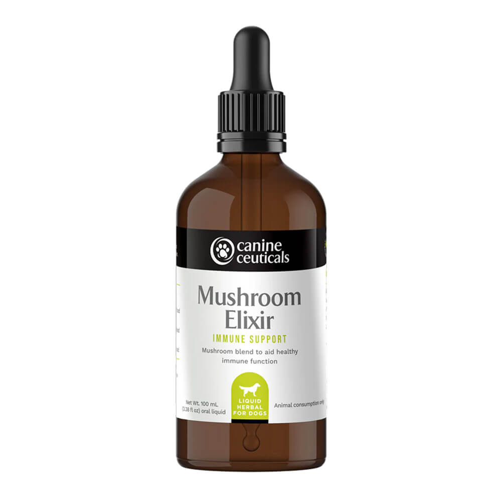 Mushroom Elixir Immune Support Drops