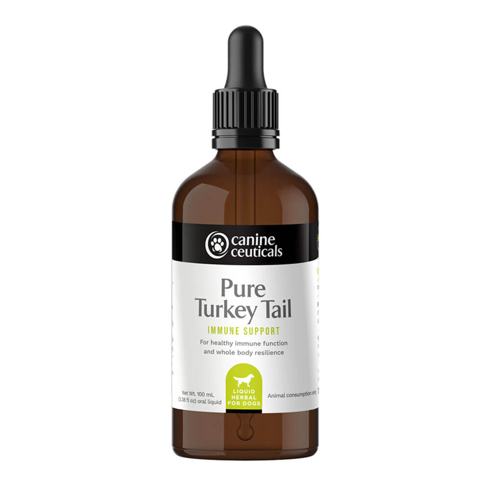 Pure Turkey Tail Immune Support Drops