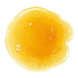 Golden, glossy salmon fat with a smooth, oily texture and small bubbles, shown as a liquid drop on a white background