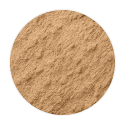 Fine, light brown Turkey Tail Mushroom Extract powder with a smooth, slightly textured surface in a circular mound