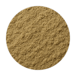 Fine, light brown Rhodiola Rosea powder with a soft, sandy texture, used as a natural dog supplement