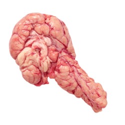 Raw beef pancreas with pinkish-red, lobed texture and visible veins, suitable for natural dog food diets