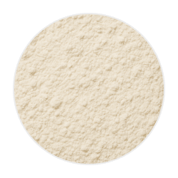 Fine, off-white LactoSpore® powder with a smooth, slightly grainy texture, displayed in a circular mound