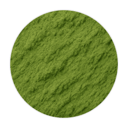 Vibrant green wheatgrass powder with a fine, soft texture, perfect for dog health supplements