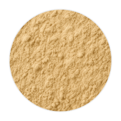 Fine, light beige powder texture of GutIH™ ingredient used in dog supplements for gut health support