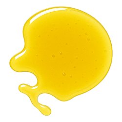Golden yellow drop of Black Cumin Seed Oil with a smooth, glossy texture on a clean white background