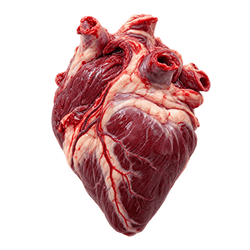 Raw emu heart before added into dog supplement.