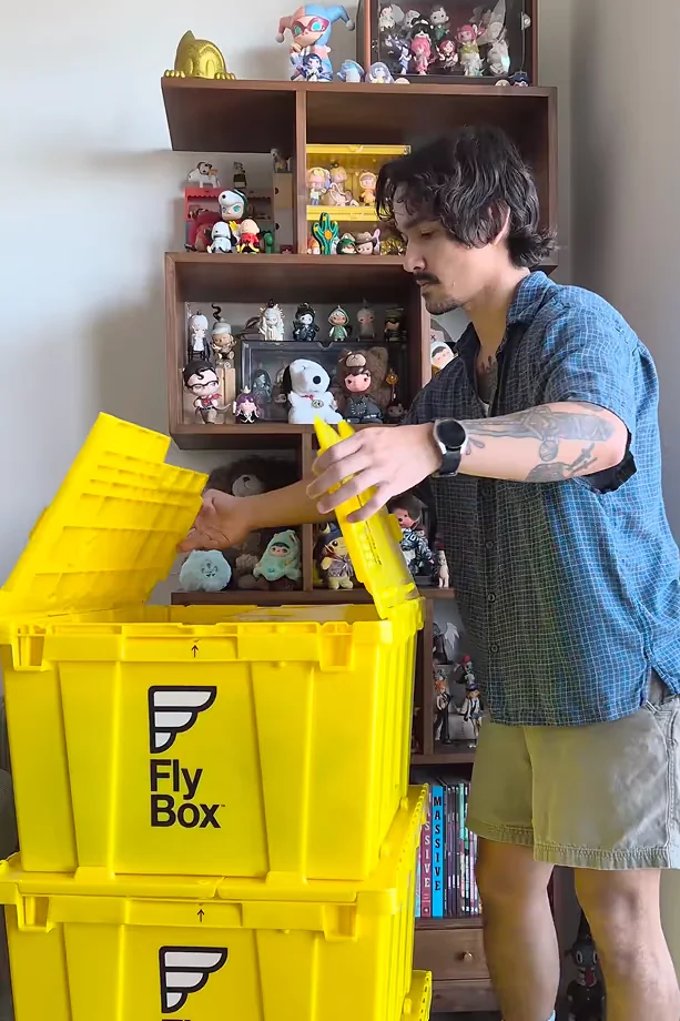 ToyCollector video from FlyBox.com