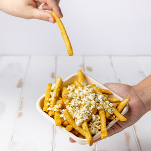 a photo of a chessy fries