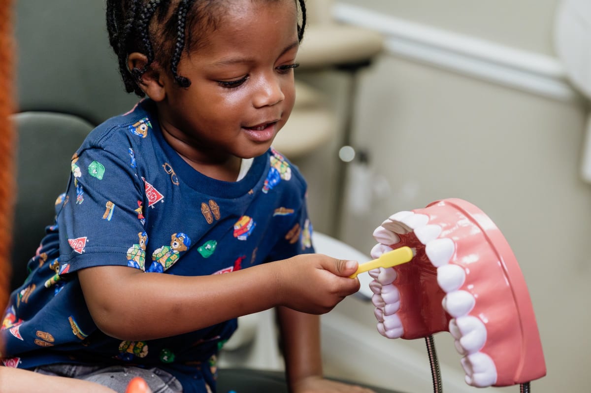 Young child holding a dental model showing teeth during pediatric dental visit