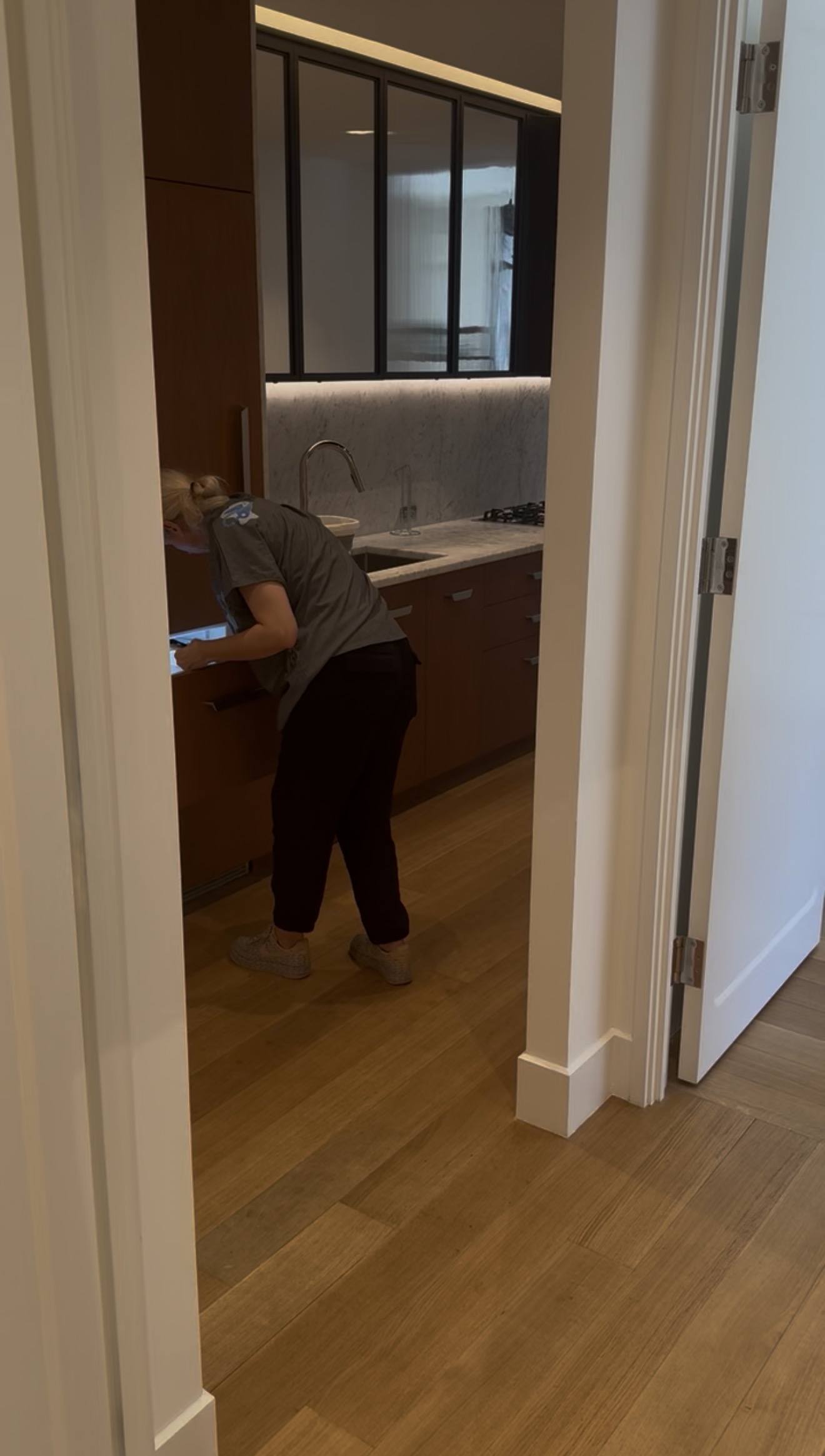 Eco-friendly countertop disinfecting in Financial District condo by RabbitCleans