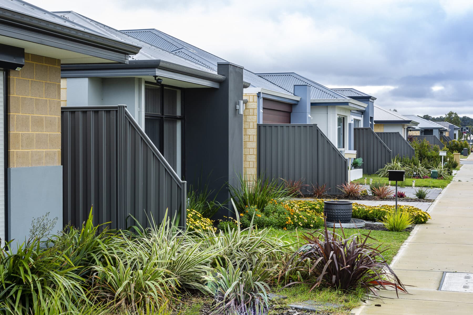 Modern suburban street lined with single-story homes, each featuring dark gray Colorbond steel fencing
