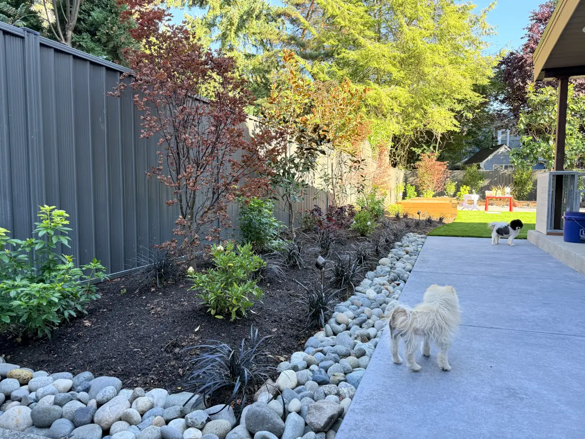 Gray ColorMax steel fence enclosing a landscaped Bellevue backyard with garden beds and play area.