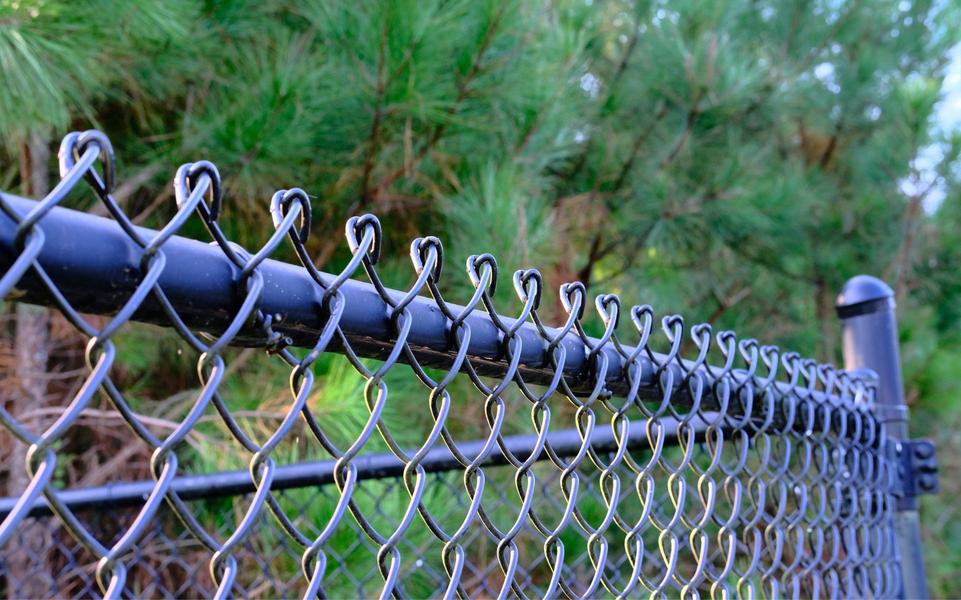 Top of Black Chain Link Fence
