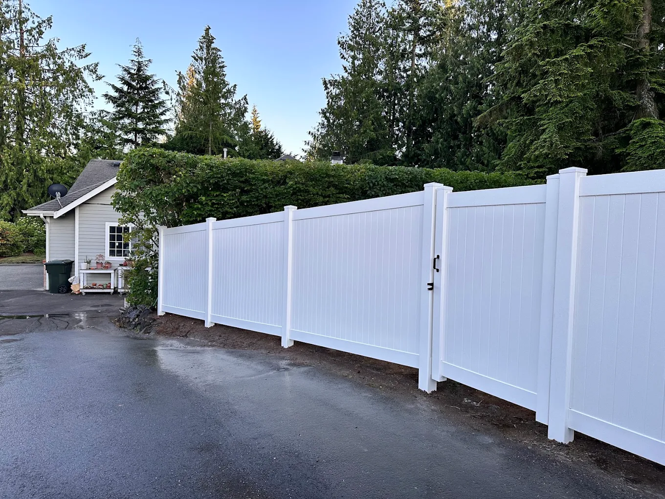 White vinyl privacy fence panels installed along a residential property boundary with tall evergreen trees and blue sky in Bellevue by Optima Fence and Deck