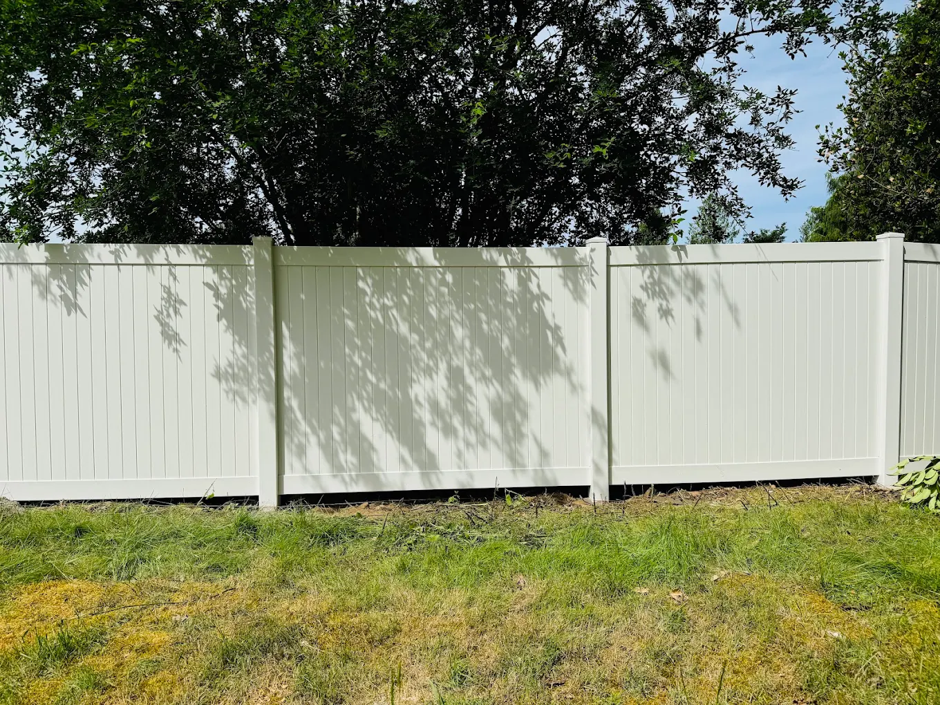 Close-up of white vinyl privacy fence panels with natural tree shadow patterns cast across the surface under mature trees
