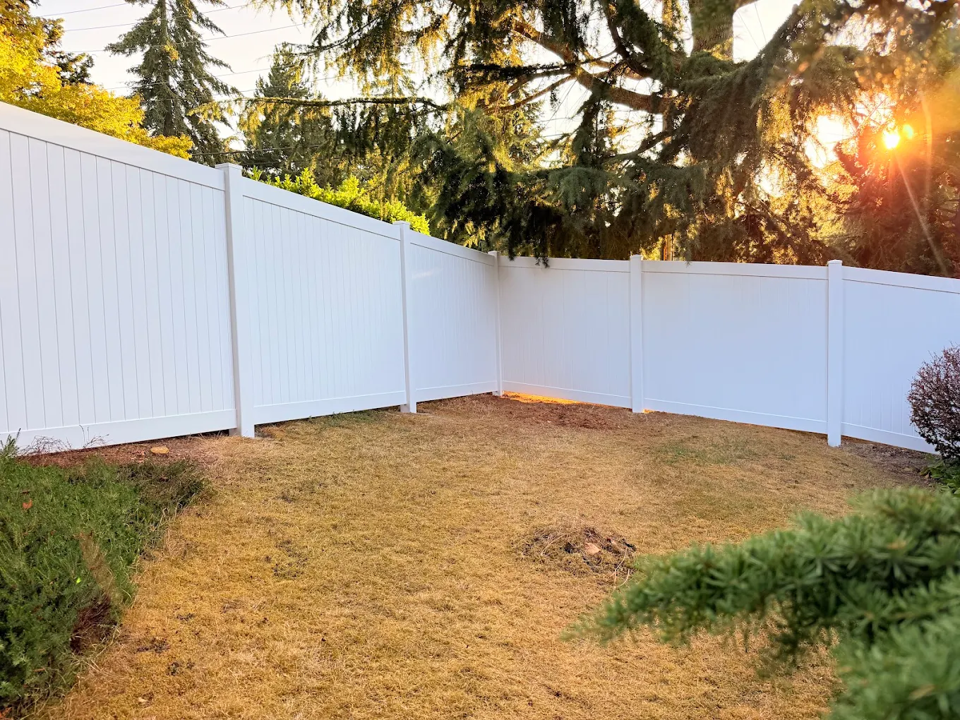 White vinyl privacy fence bordering a residential yard with dry landscaping and neighboring homes in the background in Bellevue