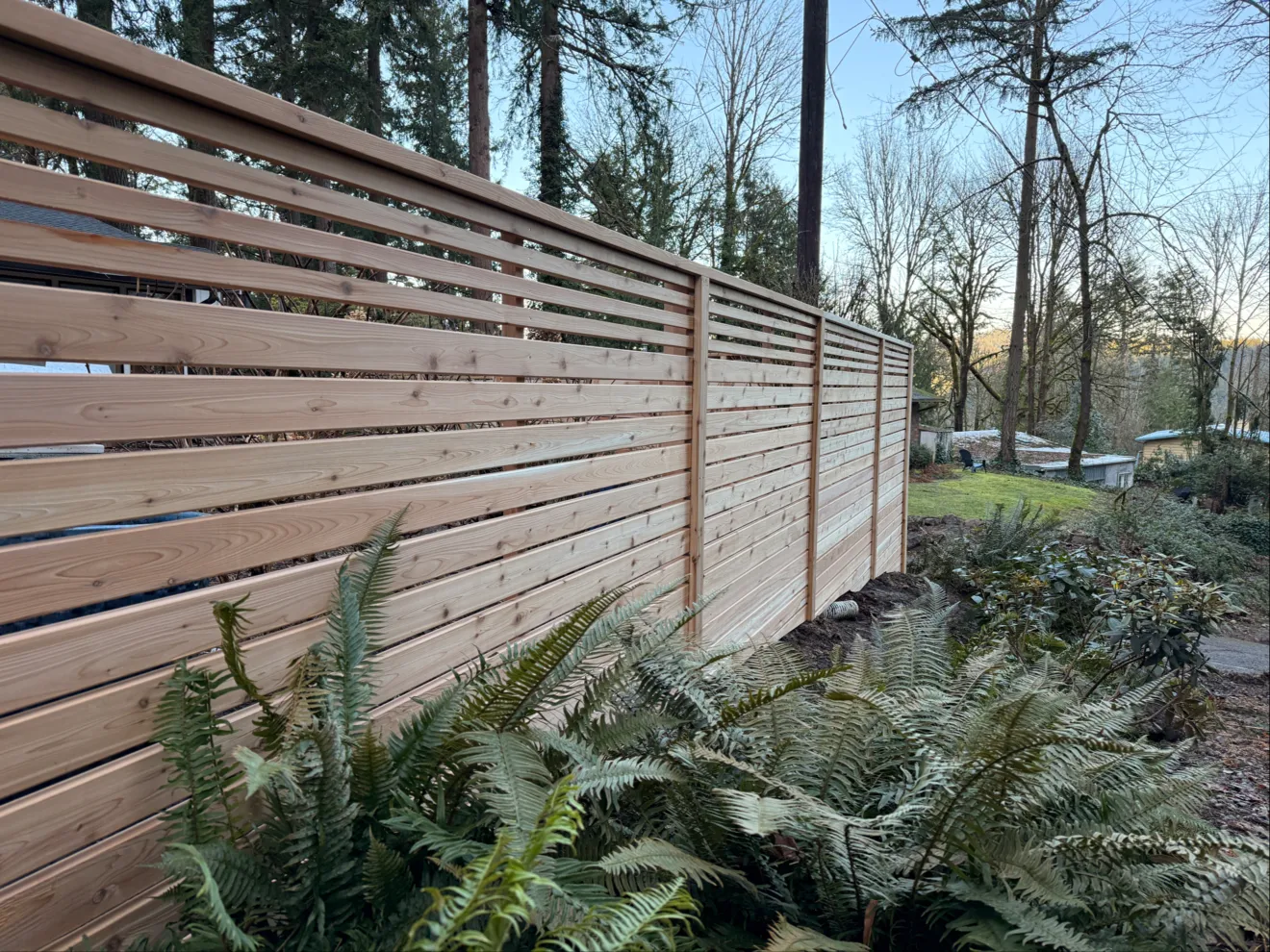 Horizontal slat fencing with ferns in Bellevue