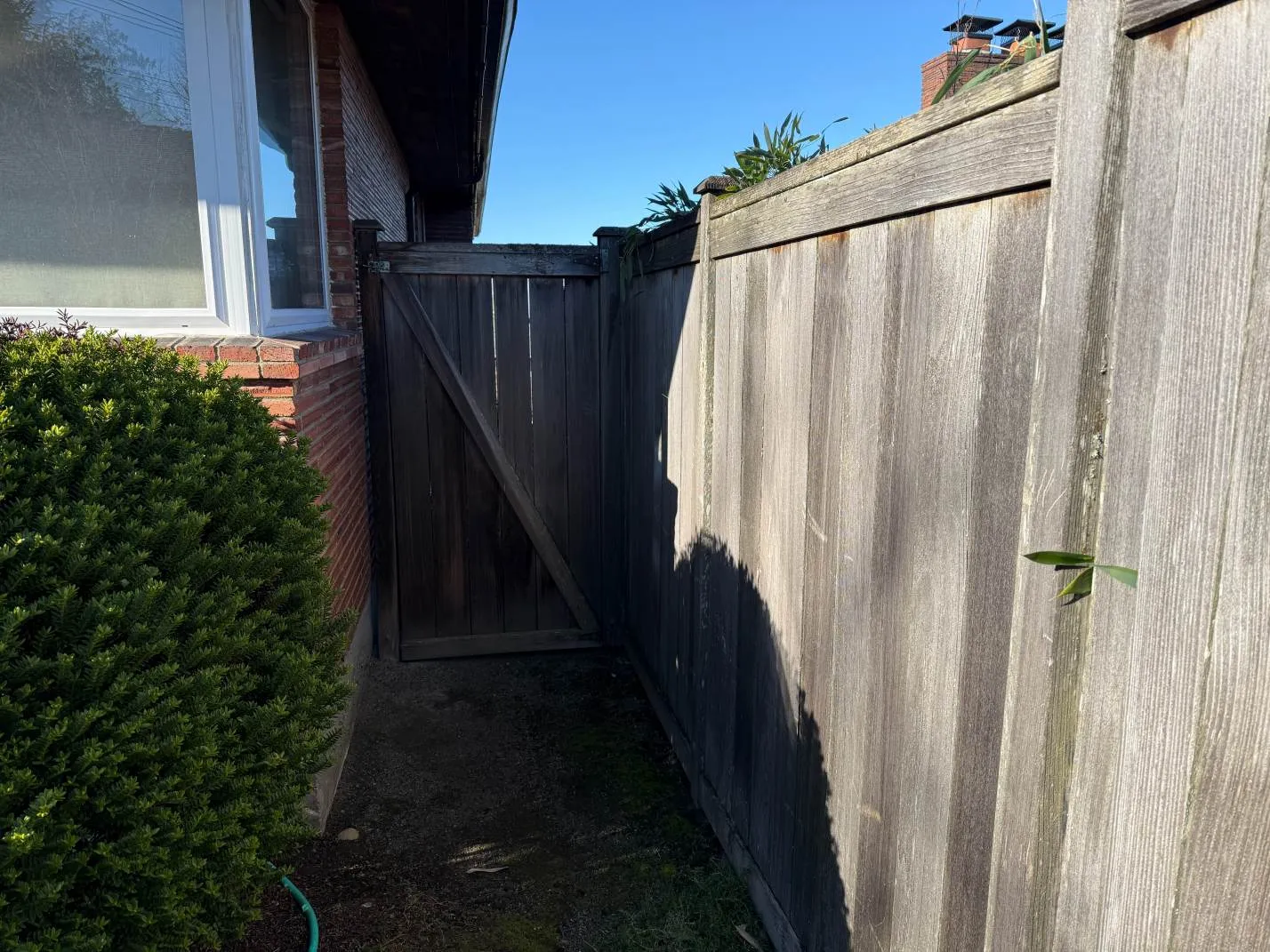 Custom Cedar Fence Installation in Seattle Before Image