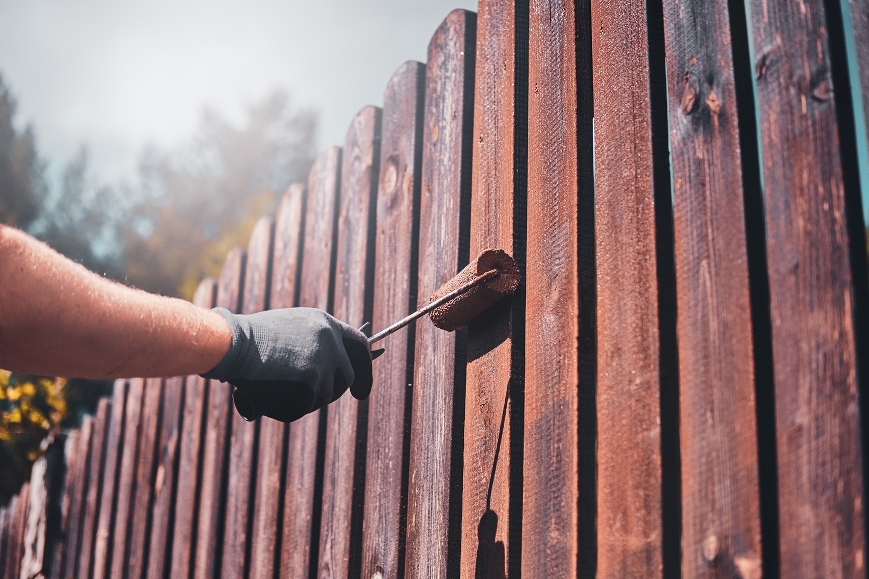  Staining a cedar fence