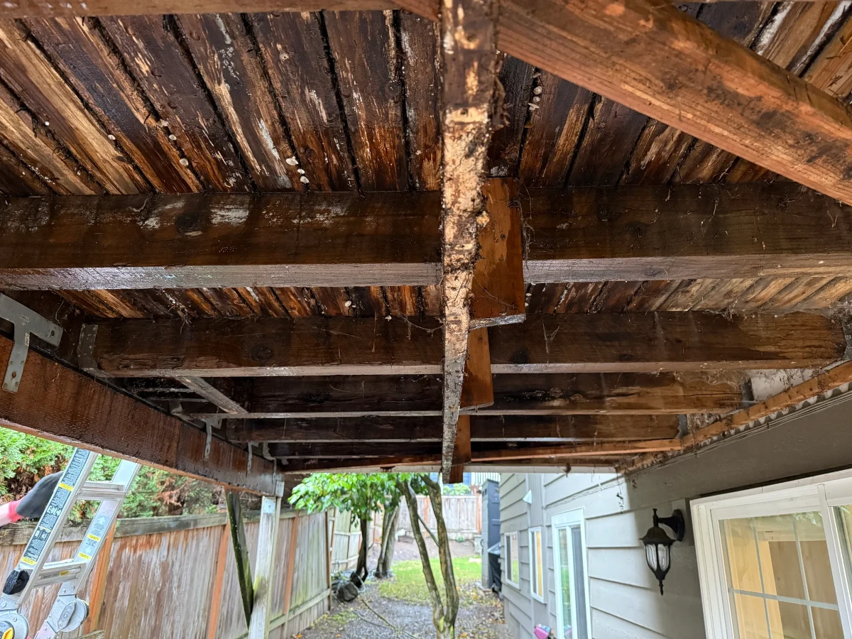 Unsafe elevated deck with structural damage in Kirkland Washington