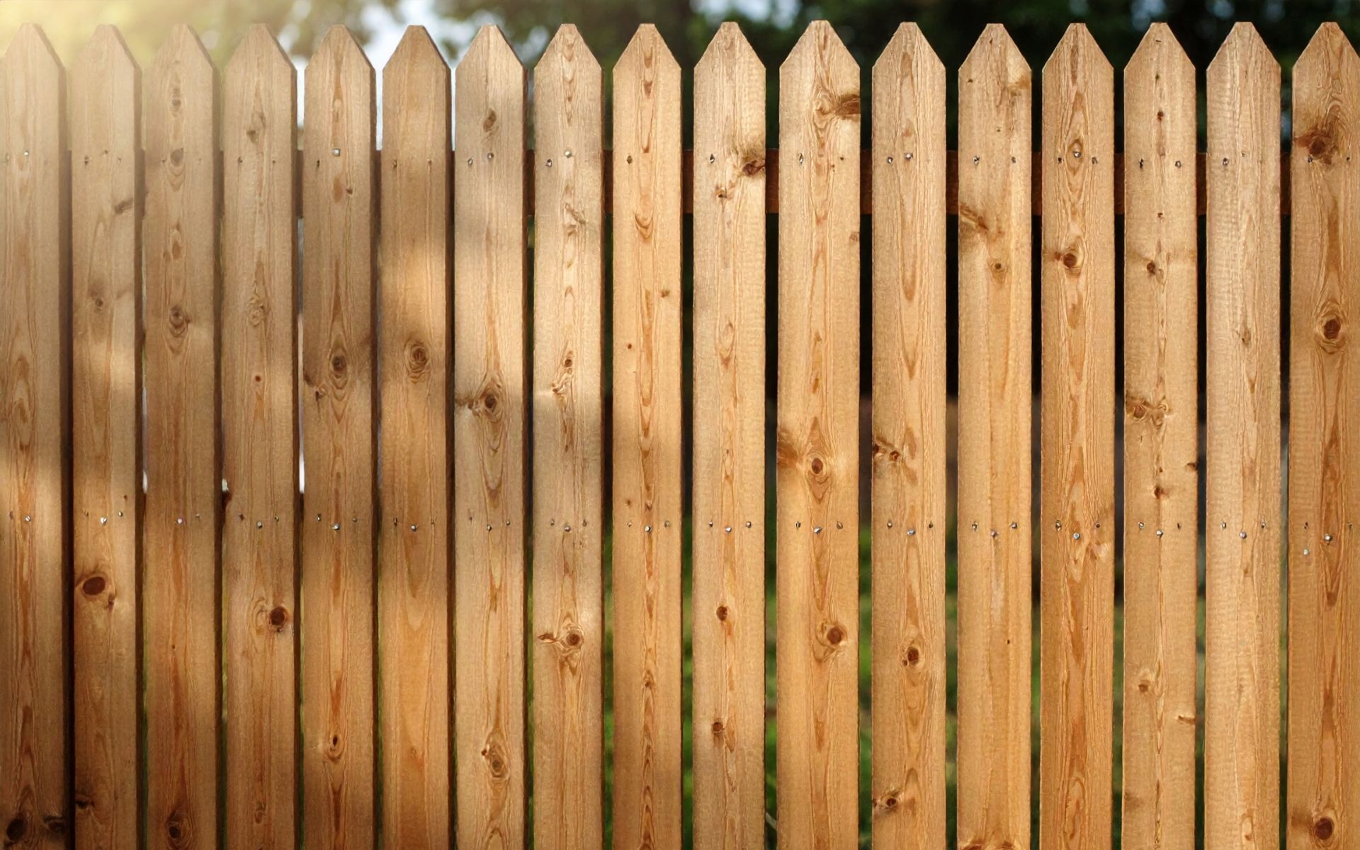 Wooden Picket Fence with Sunlight and Greenery