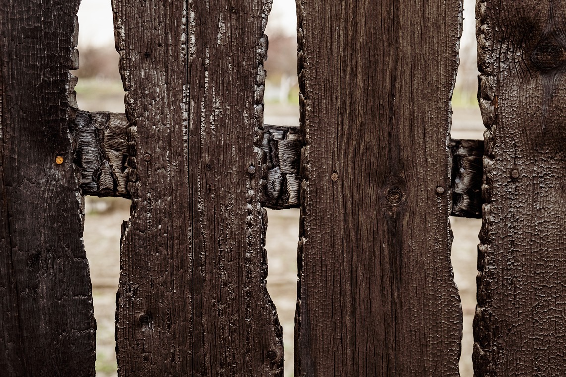 wood fence showing weather damage on wood.