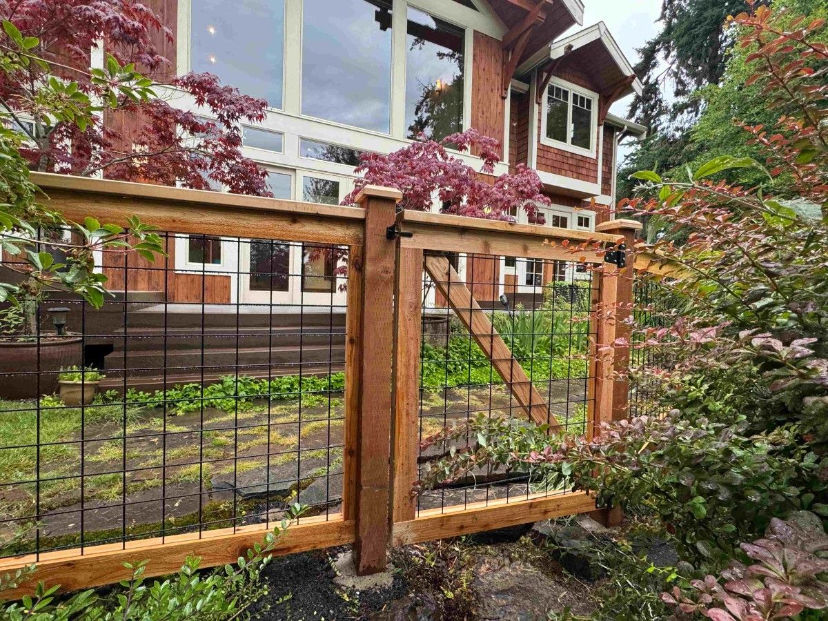 Hog wire fence with a small gate in the front yard of a Bellevue home