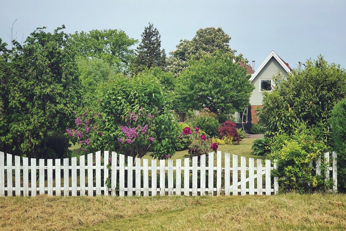 White vinyl fence and garden illustrating is vinyl fence worth it for Pacific Northwest yards