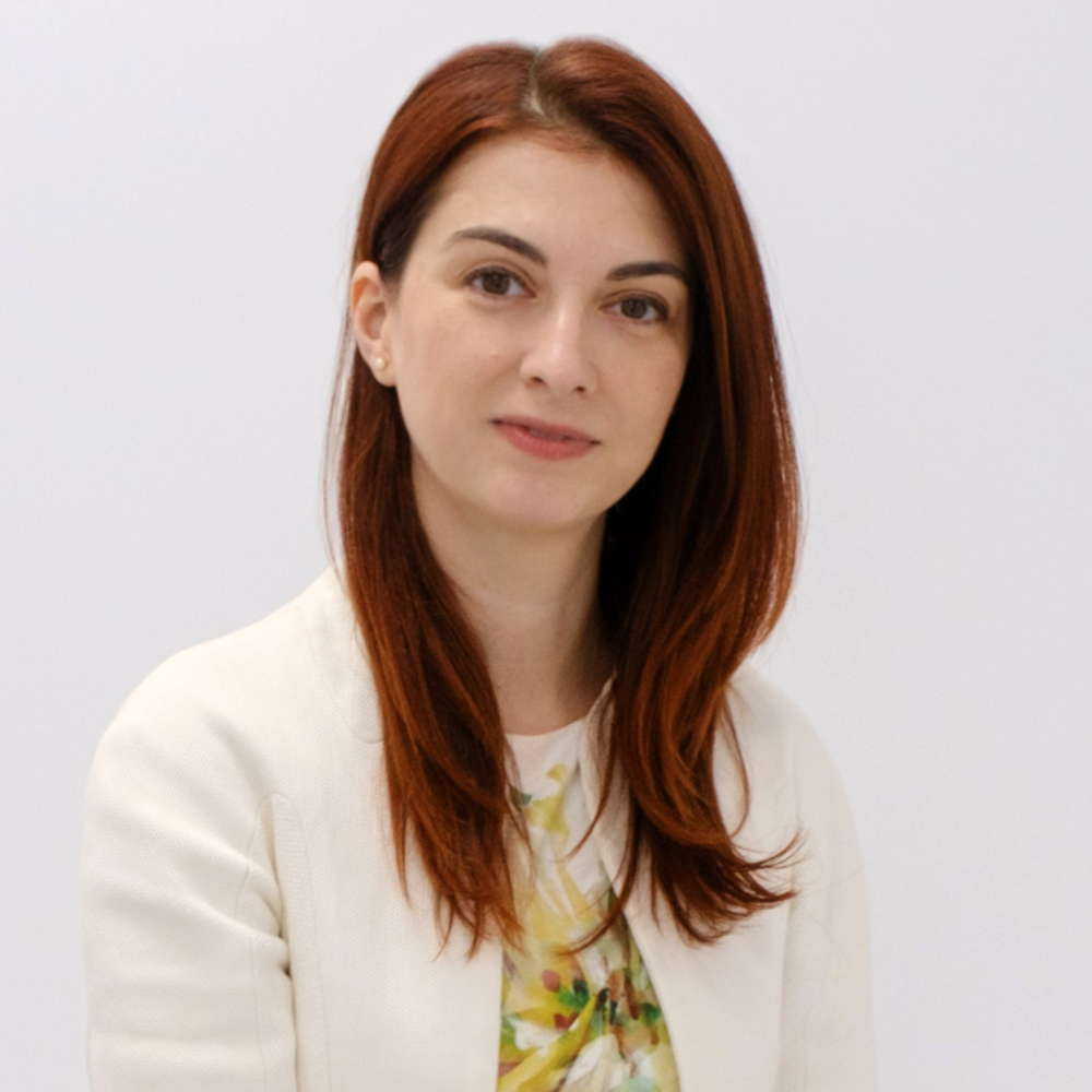 Learn more about the team