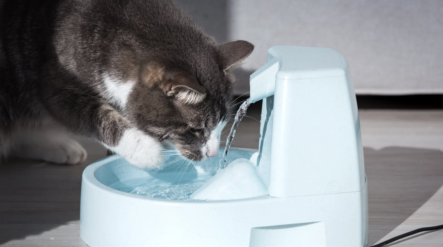 alt text: Dog drinking from a pet water fountain